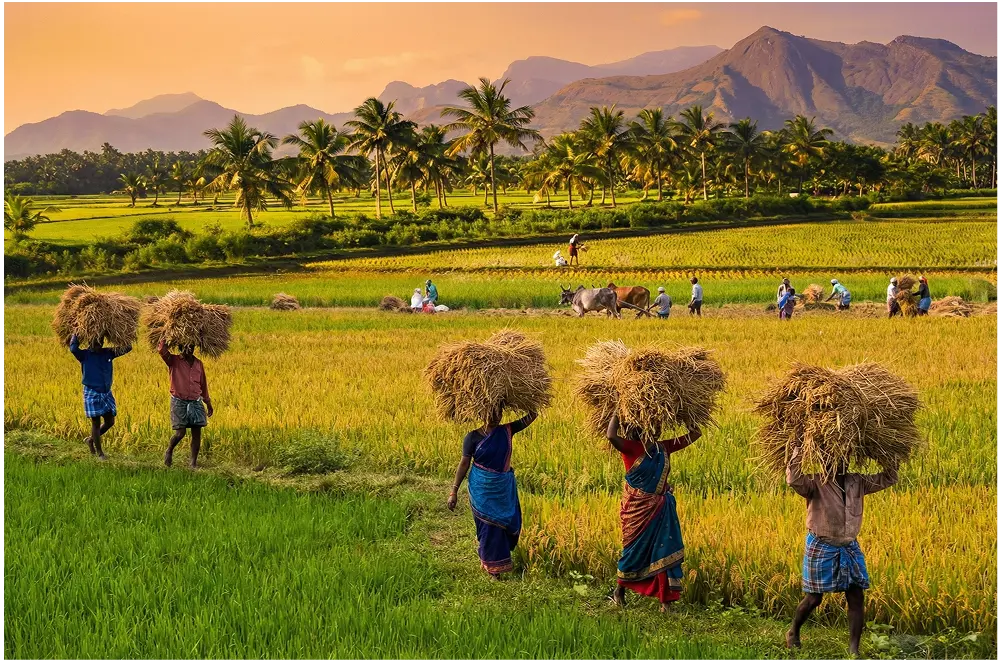 Agricultural Insurance